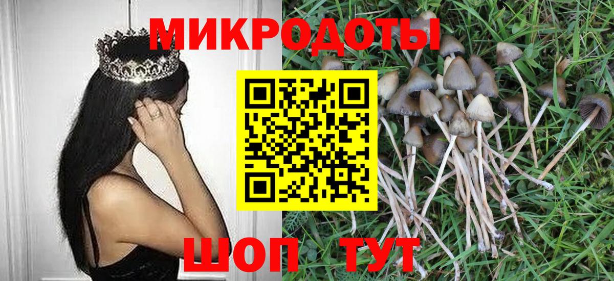 Псилоцибиновые грибы GOLDEN TEACHER Канаш
