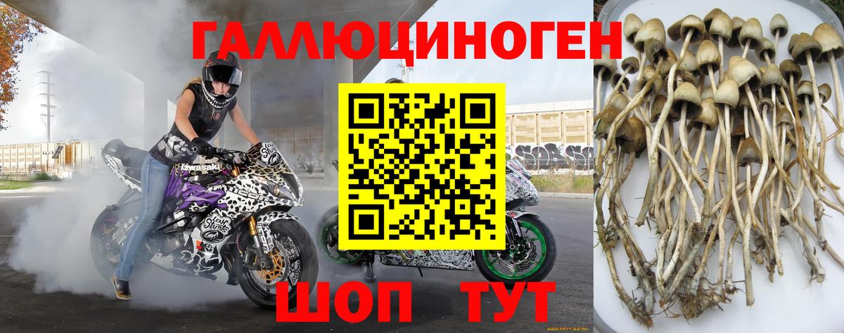Псилоцибиновые грибы MAGIC MUSHROOMS  купить   Вход с VPN  Канаш  Псилоцибиновые грибы Cubensis 